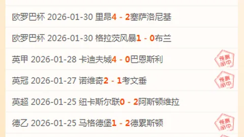 普利希奇欧洲足球梦想启航，鲁尼与菲戈偶像光辉指引前行